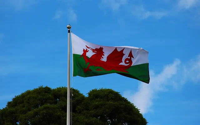 welsh flag, pennant, welsh, wales, flag, banner, nation, emblem, country, national, symbol, icon, sign, dragon, insignia, wind, standard, patriotic, ensign, patriotism, official, original, nationality, design, streamer, blue banner, blue dragon, welsh flag, welsh flag, welsh flag, welsh flag, welsh flag, welsh, wales. Should Welsh procurement rules change sales enablement content in Wales?